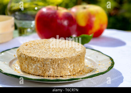 Französischer Käse Sammlung, Stück von fermentiertem Käse aus Kuhmilch Camembert au Calvados serviert mit Äpfeln außerhalb im grünen Garten in sonniger Tag Stockfoto