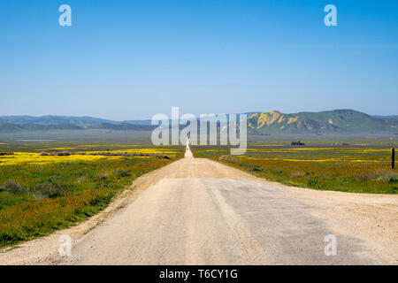 7 Mile Road in Carrizo Plain National Monument, während der Kalifornien superbloom im Frühjahr 2019 Stockfoto