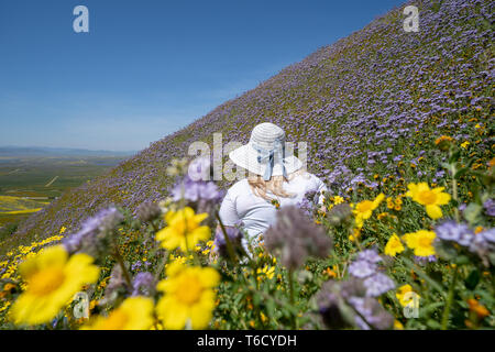 Junge Frau trägt einen weißen Strohhut sitzt in einem Feld von lila und gelb Wildblumen Stockfoto