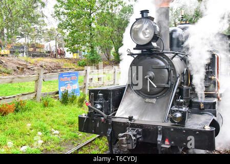 Puffing Billy Steam Railway, einer historischen Dampfeisenbahn in Australien Stockfoto