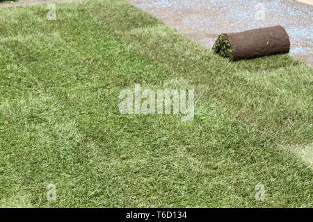 Legen Turf roll Stockfoto