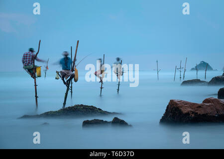 Stelze Fischer in der Dämmerung, Weligama, South Coast, Sri Lanka, Asien Stockfoto