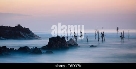 Stelze Fischer in der Dämmerung, Weligama, South Coast, Sri Lanka, Asien Stockfoto