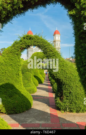 Hecken Formschnitt garten Zarcero Costa Rica Stockfoto