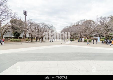 Tokio, Japan - Februar 8, 2019: unbekannte Menschen zu Fuß um Onshi Ueno Park. Ueno Park ist ein öffentlicher Park in der Gegend von Ueno, Norden von Tokyo. Der Park Stockfoto