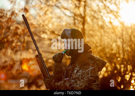 Duck hunter Berufung zu Enten Stockfoto