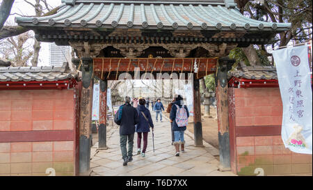 Tokio, Japan - Februar 8, 2019: Nicht identifizierte Personen am Toshogu Schrein, Ueno Park. Dedizierte Tokugawa Ieyasu zu Shogun. Stockfoto