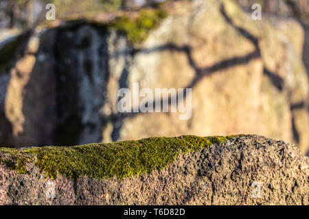 Bemoosten Stein Rock an einem warmen sonnigen Tag Stockfoto