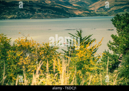 Christchurch Reisen und Ansichten Stockfoto