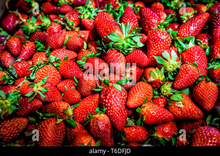 Hintergrund aus erntefrischen Erdbeeren direkt über Stockfoto