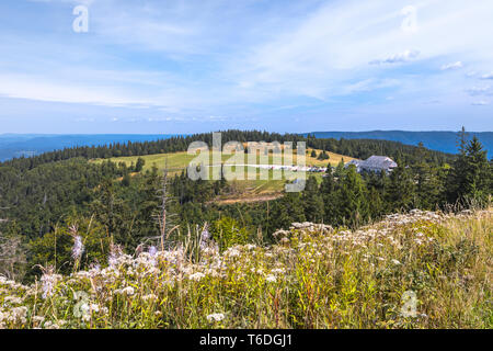 Pass von Berg Kandel vom Gipfel gesehen, Schwarzwald, Deutschland, Berg der Stadt Waldkirch, im Nordosten von Freiburg Stockfoto