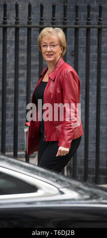 London, 30. April 2019. Führer der Commons Andrea Leadsom anreisen, für die wöchentliche Kabinettssitzung in Downing Street 10. Credit: Malcolm Park/Alamy Stockfoto