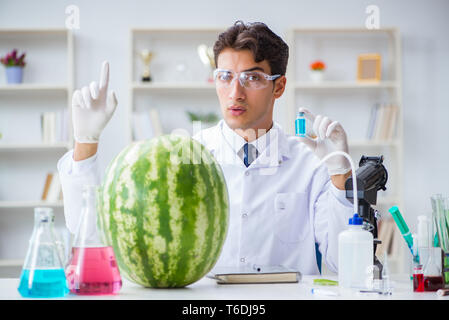 Wissenschaftler testen Wassermelone im Labor Stockfoto