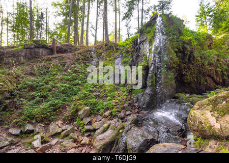 Die Wasserfälle von Menzenschwand, Hochschwarzwald, Deutschland, Cascade in eine Schlucht über einen Fels Stockfoto