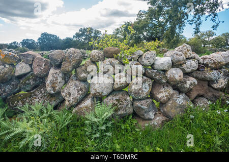 Nuraghe in der Nähe von Nuoro, Sardinien, Italien. Unter Tausenden von alten megalithische Strukturen während der NURAGHISCHEN Alter zwischen 1900 und 730 v. Chr. gebaut Stockfoto