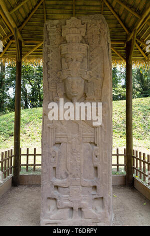 Quirigua, Guatemala - Stele ein Standing Stone Carving an der alten Maya Website von Quirigua aus dem 8. Jahrhundert AD, Guatemala Mittelamerika Stockfoto