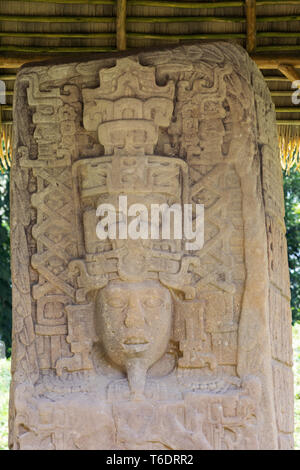 Quirigua, Guatemala - Stele ein Standing Stone Carving an der alten Maya Website von Quirigua aus dem 8. Jahrhundert AD, Guatemala Mittelamerika Stockfoto