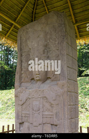 Quirigua, Guatemala Weltkulturerbe der Unesco, Maya archäologische Stätte, Standing Stone, Stele C Detail; Guatemala, Lateinamerika Stockfoto