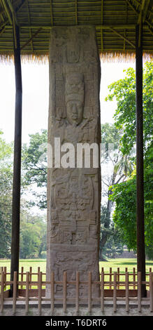 Quirigua, Guatemala - Stele E Standing Stone, das größte in der Welt der Maya, Ruinen von Quirigua, alten Maya, Guatemala, Mittelamerika Stockfoto