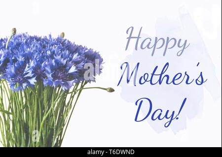 Happy Mother's Day card. Blaue kornblumen Bündel auf weißem Hintergrund. Stockfoto