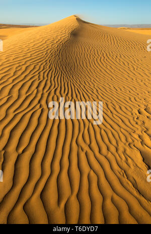 Sand weht über Sanddünen im Wind Stockfoto