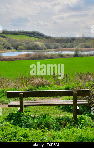 Sitzbank mit Blick auf Sprotbrough Flash Nature Reserve, South Yorkshire, Großbritannien Stockfoto