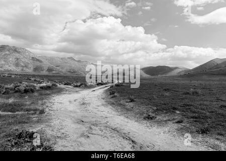 Schwarz und Weiß, unbefestigte Straße durch die Felder in Richtung Hügel kurvt unter Himmel mit weißen Wolken. Stockfoto