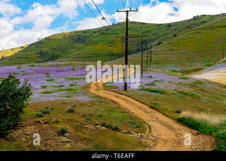 Felder mit Schmutz der Straße und Utility Pole in Richtung Hügel führenden Jenseits unter strahlend blauen Himmel mit weißen Wolken. Stockfoto