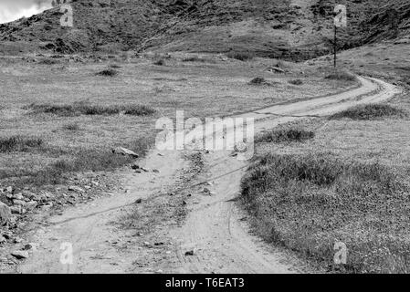 Schwarz und Weiß, unbefestigte Straße kurvt um Felder von Wildblumen in Richtung Hügel dahinter. Stockfoto