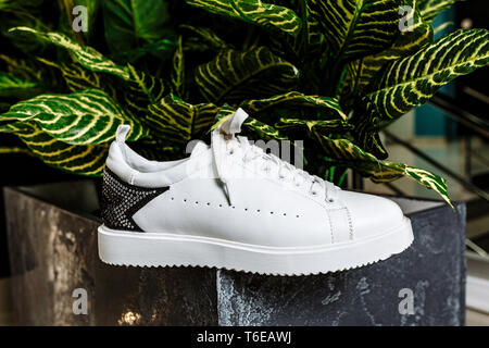 Elegante weiße Sneaker mit einem Stern Ornament aus Glitzersteinchen auf dem Hintergrund gegen die bunten Blätter der Pflanze Stockfoto