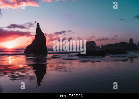 Silhouette eines Vogels Flucht aus einem Felsen auf der pazifischen Küstengewässern von Bandon Beach, Oregon bei Sonnenuntergang. Stockfoto