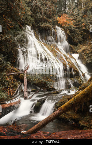 Panther Creek Falls, ein Wasserfall, an Gifford Pinchot National Forest im Staat Washington im Herbst Saison Stockfoto