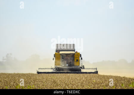Mähdrescher. Landwirtschaftliche Maschinen. Stockfoto
