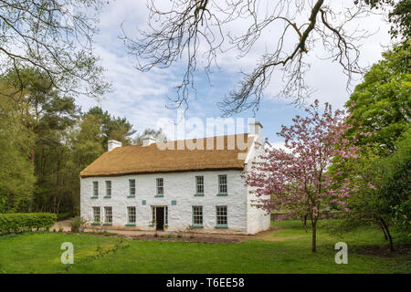 Aghalane House, dem Stammsitz von Hugh Campbell, rekonstruiert in der Ulster American Folk Park, Omagh, County Tyrone, Nordirland. Stockfoto