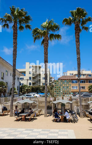 Schach Spielen auf dem Santa Monica Beach in Los Angeles, Kalifornien, USA Stockfoto