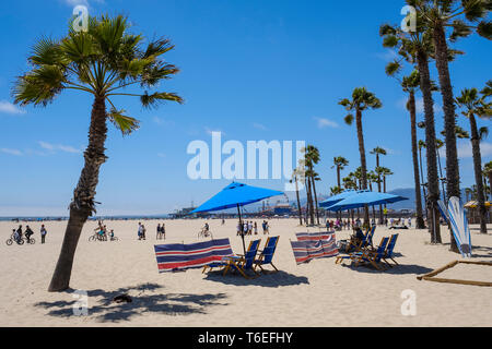 Palmen am Strand von Santa Monica in Los Angeles, Kalifornien, USA Stockfoto