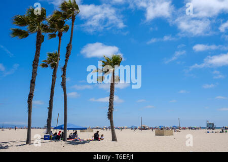 Palmen am Strand von Santa Monica in Los Angeles, Kalifornien, USA Stockfoto