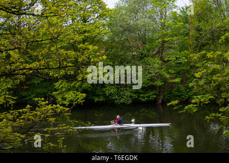 Ein Mann von Zeilen in einem Boot auf dem Fluss Taff in Cardiff, Wales, UK. Stockfoto