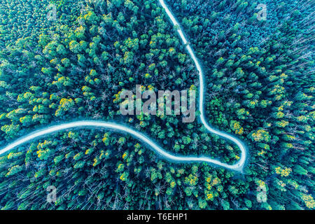 Blick nach unten an der Straße biegen Wicklung durch den Wald - Luftbild Stockfoto