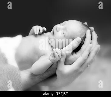 Neugeborenes Baby auf des Vaters und der Mutter. Stockfoto