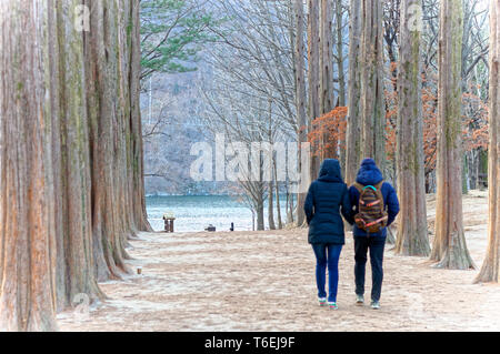 Der Gehweg zwischen den Bäumen auf beiden Seiten. Stockfoto