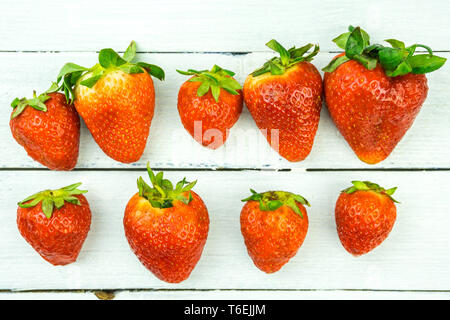 Frisch geernteten Erdbeeren auf Holz- Hintergrund. Saftige Erdbeeren auf weißem Holz Frische des Sommers Früchte. Stockfoto