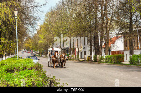 Pferdekutsche in Vohenstrauss Stockfoto