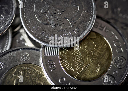 Eine Sammlung der kanadischen Münzen. Viertel loonies toonies und kitzelt. Stockfoto