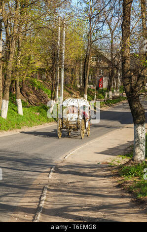 Pferdekutsche in Vohenstrauss Stockfoto