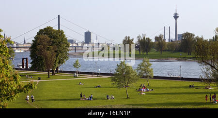 Blick vom Rheinpark Golzheim, der Rhein und der Stadt, Düsseldorf, Deutschland, Europa Stockfoto