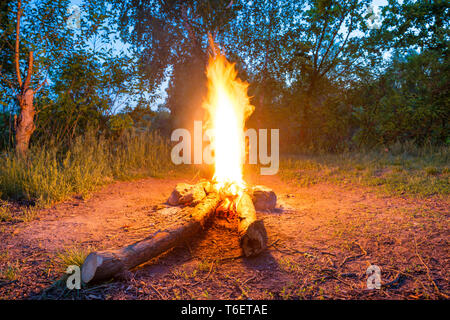 Lagerfeuer in der Nähe von Wasser im Wald Stockfoto