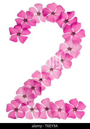 2, 2 Ziffer, aus natürlichen rosa Blüten von Immergrün, auf weißem Hintergrund Stockfoto