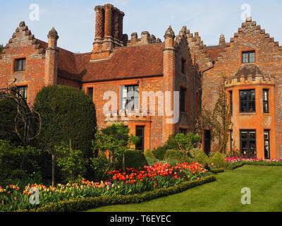 Chenies Manor House und Gärten im April zeigen bunte Tulpen Grenzen in voller Blüte mit sonnigen Rasen. blue sky und Schornsteinen. Stockfoto