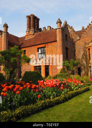 Chenies Manor House und Gärten im April zeigen bunte Tulpen Grenzen. Portrait Aspekt der Chenies Manor House in der Sonne mit tulip Grenzen. Stockfoto